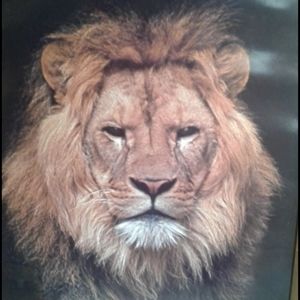 Meet your Posher, Juana